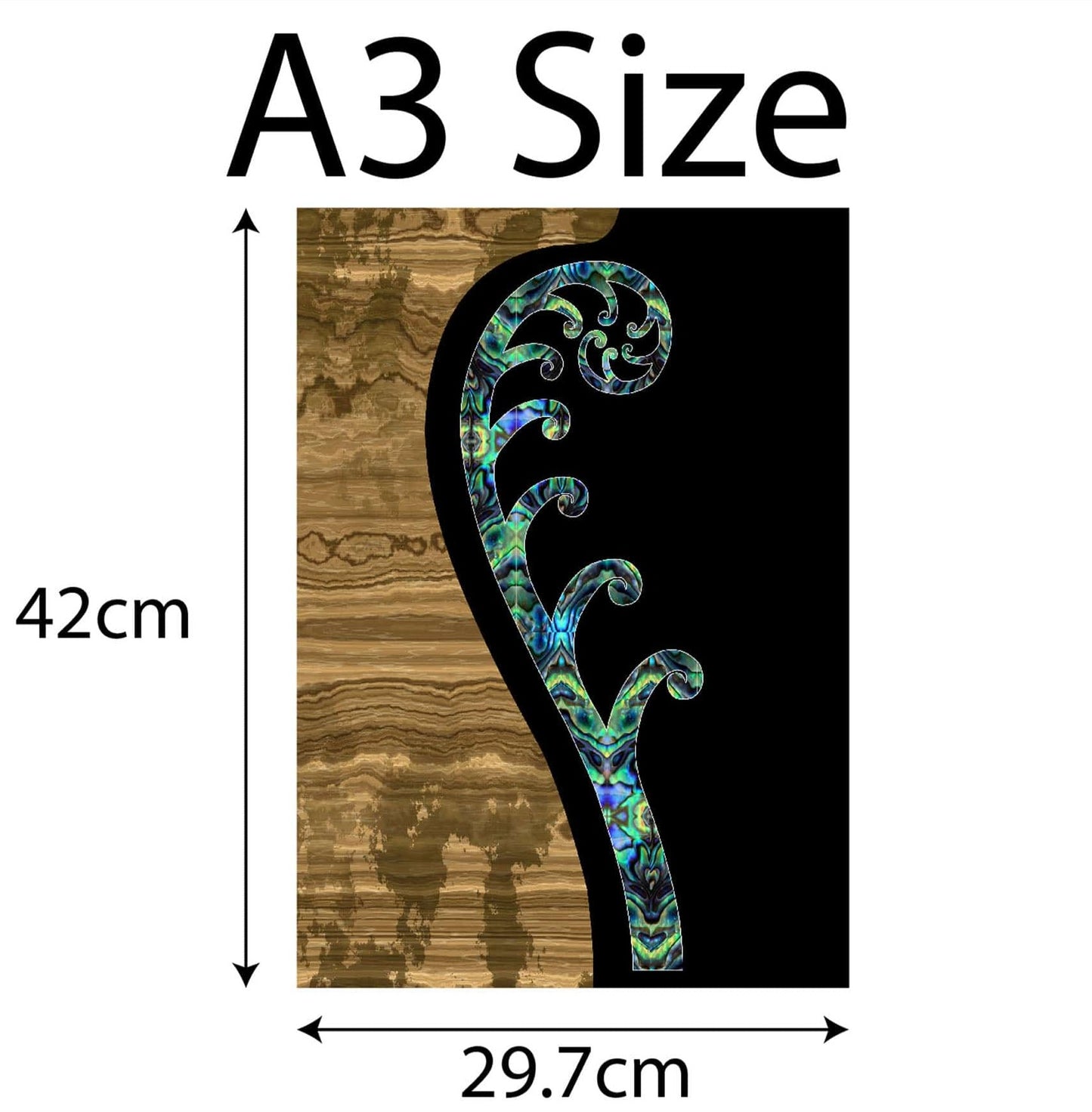 paua colour koru with wood and black black ground canvas print ready for framing A3 size