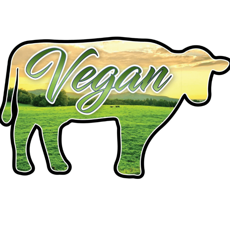 Vegan Cow Assorted 175 x 105mm