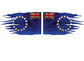 Cook Islands Flag Twin Pack 15 Stars Car Sticker 17 x 10cm or 30 x 17cm